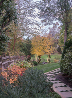 © Lynne Church Landscape Design, a subsidiary of Washington Energy Associates LLC.